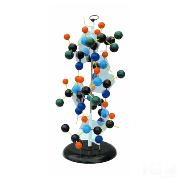 Protein Structure Model