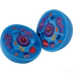 Animal Cell Model