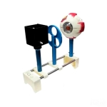 Human Eye kit Model (Functional)